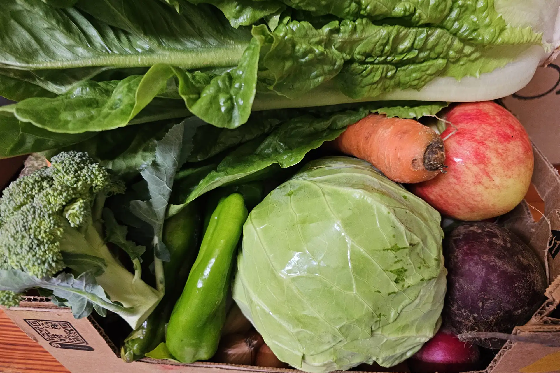 box of various garden vegetables